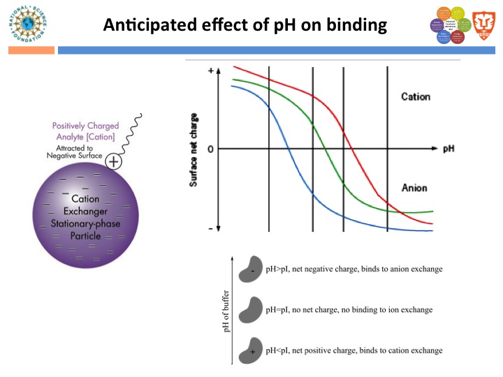 Anticipated Effect of pH on Binding