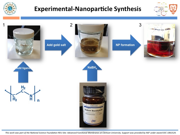 Gold Nanoparticle Synthesis