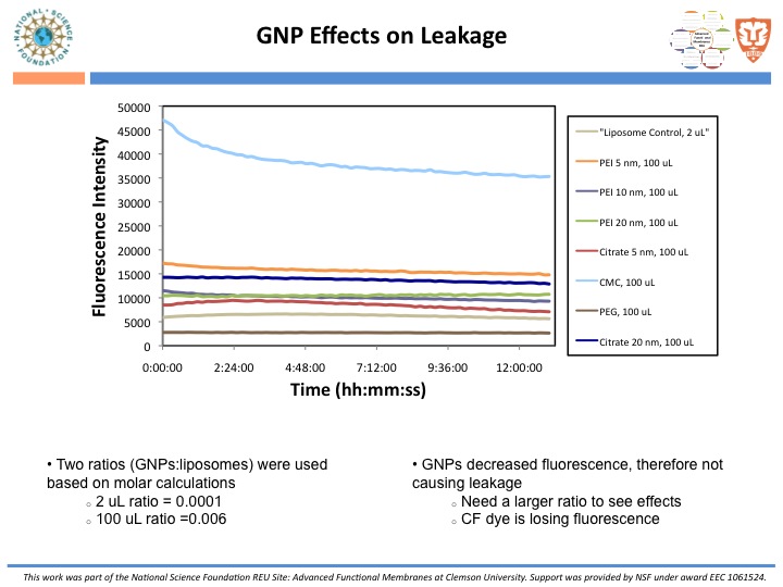 GNP Effects on Leakage